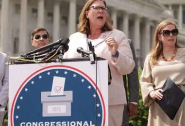 La première députée LGBTQ+ du Sud se bat contre les efforts du GOP pour l'exclure du Congrès