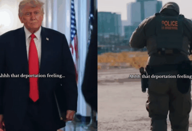 Trump ne peut pas « défier la gravité » ou « tenir un espace », déclare Tracy E. Gilchrist, des médias queer