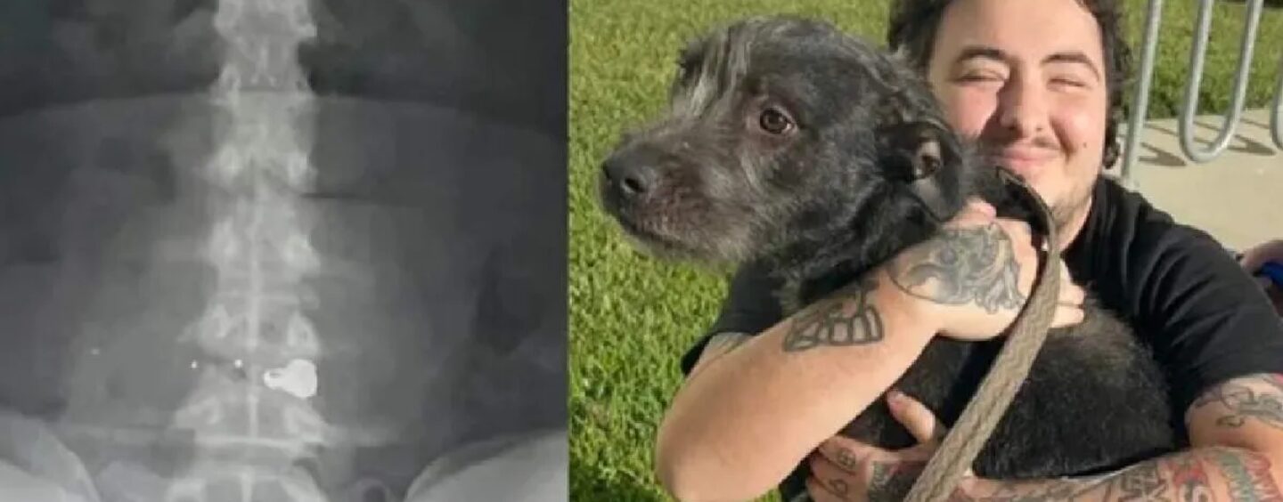 Un homme de Floride partiellement paralysé après que son voisin lui aurait tiré dessus et aurait utilisé des insultes anti-LGBTQ+