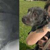 Un homme de Floride partiellement paralysé après que son voisin lui aurait tiré dessus et aurait utilisé des insultes anti-LGBTQ+