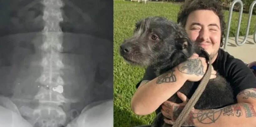 Un homme de Floride partiellement paralysé après que son voisin lui aurait tiré dessus et aurait utilisé des insultes anti-LGBTQ+