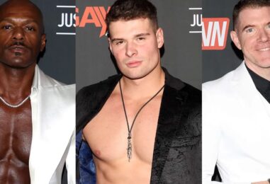 Voici les meilleurs artistes adultes recherchés par les gays en 2025