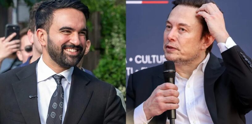 Zohran Mamdani applaudit après qu'Elon Musk ait attaqué la nomination lesbienne à la tête du FDNY