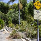 Tout sur la Mattachine Society, le premier groupe américain durable de défense des droits des homosexuels