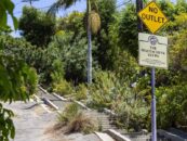 Tout sur la Mattachine Society, le premier groupe américain durable de défense des droits des homosexuels