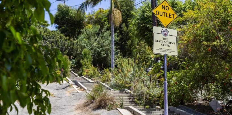 Tout sur la Mattachine Society, le premier groupe américain durable de défense des droits des homosexuels