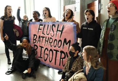 Un an plus tard, le Mouvement de libération du genre intensifie sa lutte pour les droits des trans