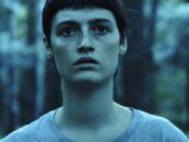 Mother of Flies s'attaque à la famille, à la mort et à la sorcellerie dans ce conte de fées sombre et douloureux.