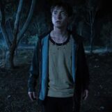 Revue du Lévitique : la thérapie de conversion est une véritable horreur