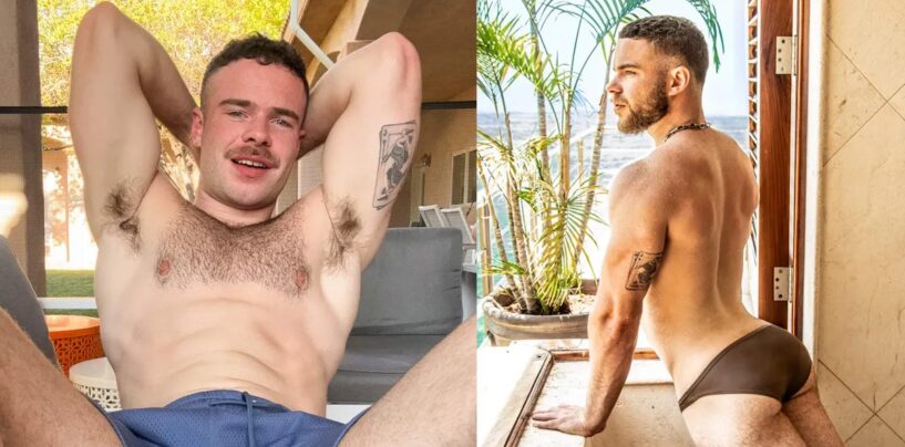 La star adulte Marcus McNeill révèle ses projets torrides pour sa carrière