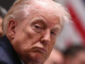 Donald Trump critique les meurtres d'Alex Pretti et Renée Good par le DHS : « Cela n'aurait pas dû se produire »