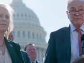 Chuck Schumer est à la tête du projet de loi des démocrates de New York visant à protéger les drapeaux de la fierté sur les sites de Stonewall et des parcs nationaux