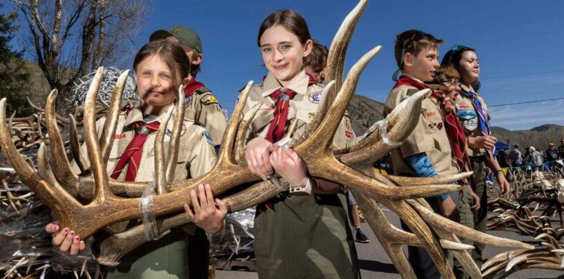 Scouting America affirme que les enfants transgenres sont toujours les bienvenus après que Pete Hegseth ait affirmé qu'ils ne l'étaient pas