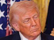 Donald Trump s'en prend aux femmes trans lors de la proclamation du Mois de l'histoire des femmes