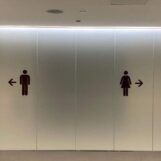 Les républicains de l'Idaho adoptent un projet de loi érigeant en délit l'utilisation des toilettes publiques par les personnes transgenres