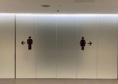 Les républicains de l'Idaho adoptent un projet de loi érigeant en délit l'utilisation des toilettes publiques par les personnes transgenres