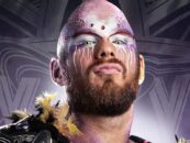 Le lutteur « Evil Gay » entre dans l'histoire de la WWE