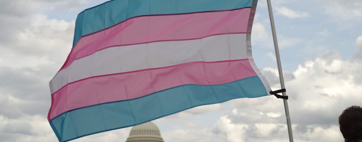 Pornhub révèle la tranche d'âge qui regarde étonnamment le plus de contenu trans pour adultes