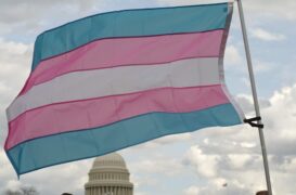 Pornhub révèle la tranche d'âge qui regarde étonnamment le plus de contenu trans pour adultes