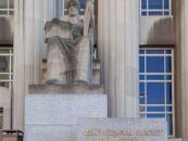 Le créateur populaire The Woke Ginger poursuit une organisation à but non lucratif du Missouri pour l'avoir licencié pour des publications politiques