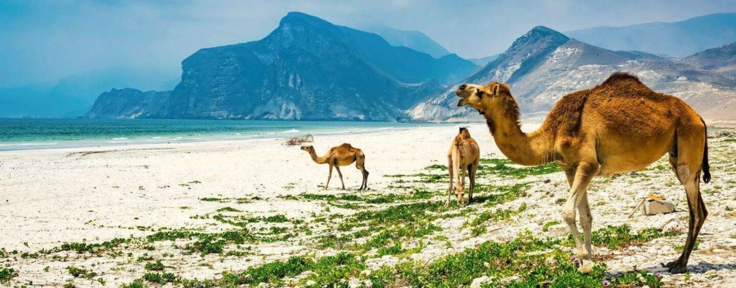 Vous prévoyez un voyage à Oman? Vous pourriez avoir besoin d'un test de dépistage du VIH