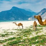 Vous prévoyez un voyage à Oman? Vous pourriez avoir besoin d'un test de dépistage du VIH