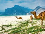 Vous prévoyez un voyage à Oman? Vous pourriez avoir besoin d'un test de dépistage du VIH