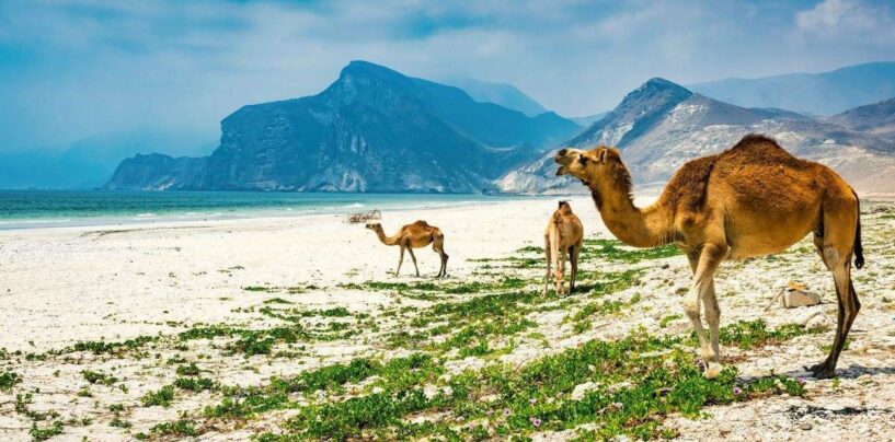 Vous prévoyez un voyage à Oman? Vous pourriez avoir besoin d'un test de dépistage du VIH