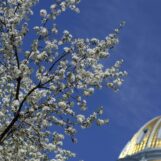 Le gouverneur du Colorado signe une loi reconnaissant le droit à la vie privée des enfants trans