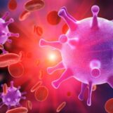 Une seule perfusion de cellules immunitaires peut-elle supprimer le VIH pendant des années ?