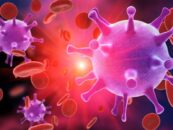 Une seule perfusion de cellules immunitaires peut-elle supprimer le VIH pendant des années ?