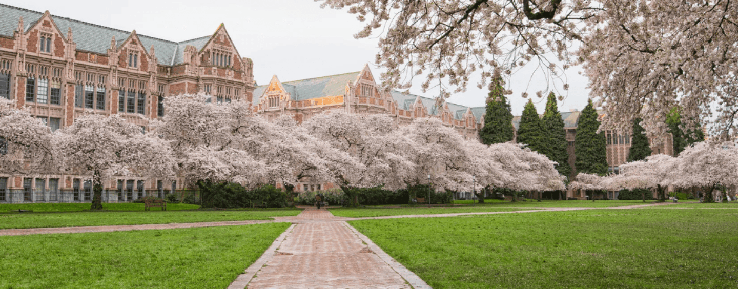 Un étudiant transgenre de 19 ans à l'Université de Washington mortellement poignardé