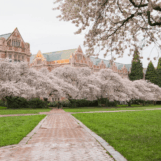 Un étudiant transgenre de 19 ans à l'Université de Washington mortellement poignardé