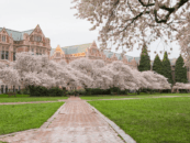 Un étudiant transgenre de 19 ans à l'Université de Washington mortellement poignardé