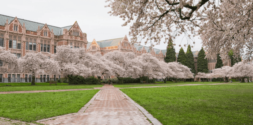 Un étudiant transgenre de 19 ans à l'Université de Washington mortellement poignardé
