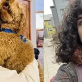 La communauté pleure Juniper Blessing, étudiante trans au « cœur d'or » qui aimait la météorologie et Pokémon