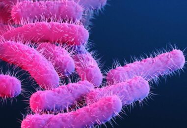 Une nouvelle souche de Shigella touche de manière disproportionnée les hommes queer. Pourquoi?