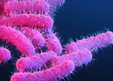Une nouvelle souche de Shigella touche de manière disproportionnée les hommes queer. Pourquoi?