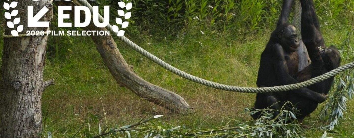 Elliot Page a appris « la vérité évidente » de son nouveau médecin : la nature est bizarre