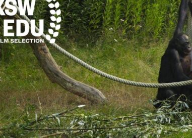 Elliot Page a appris « la vérité évidente » de son nouveau médecin : la nature est bizarre