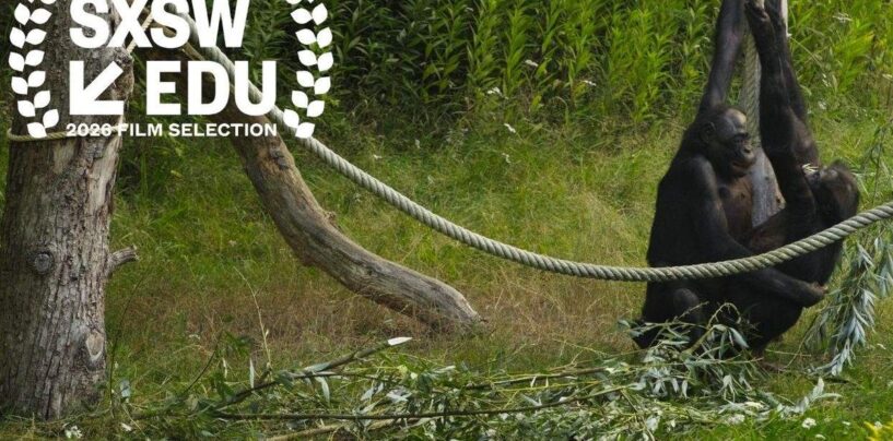 Elliot Page a appris « la vérité évidente » de son nouveau médecin : la nature est bizarre