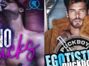 7 romans d'amour épicés sur le hockey gay si vous avez aimé Heated Rivalry & Off Campus