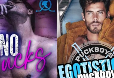 7 romans d'amour épicés sur le hockey gay si vous avez aimé Heated Rivalry & Off Campus
