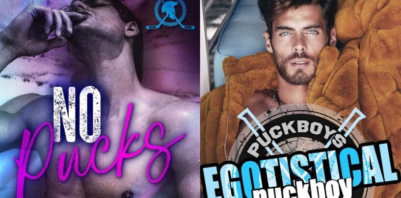 7 romans d'amour épicés sur le hockey gay si vous avez aimé Heated Rivalry & Off Campus