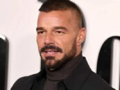 Ricky Martin montre ses muscles sexy dans un nouveau selfie torse nu