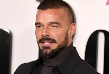 Ricky Martin montre ses muscles sexy dans un nouveau selfie torse nu