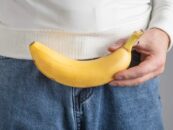 Conseils 101 sur le sexe avec un gros pénis : conseils d'experts