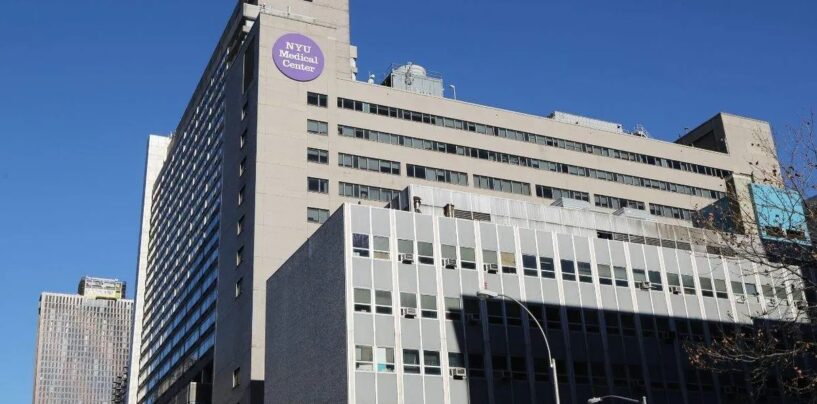 Le juge empêche le DOJ de Trump de saisir les dossiers médicaux des jeunes trans dans les hôpitaux de New York