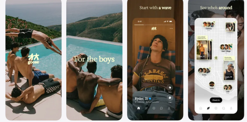 Chair de poule : ce que disent les gays à propos de l'application « sans connexion »