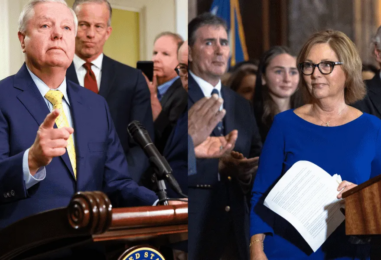 La sœur de Lindsey Graham occupera son siège au Sénat. Qui est-elle ?
